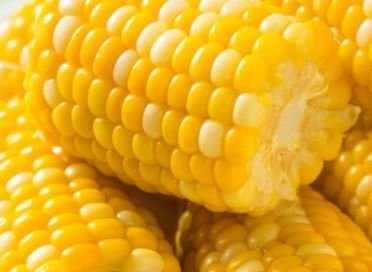 Corn